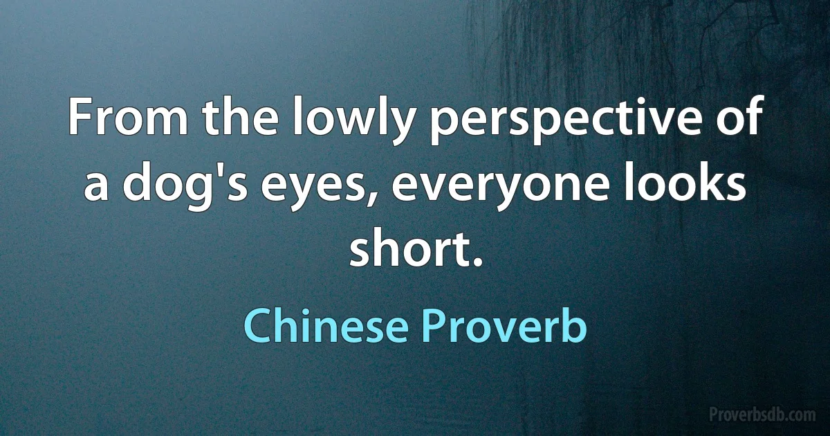 From the lowly perspective of a dog's eyes, everyone looks short. (Chinese Proverb)