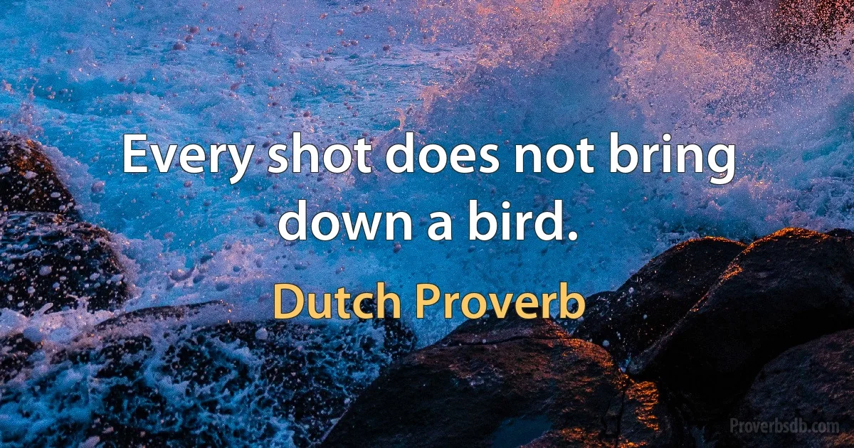 Every shot does not bring down a bird. (Dutch Proverb)