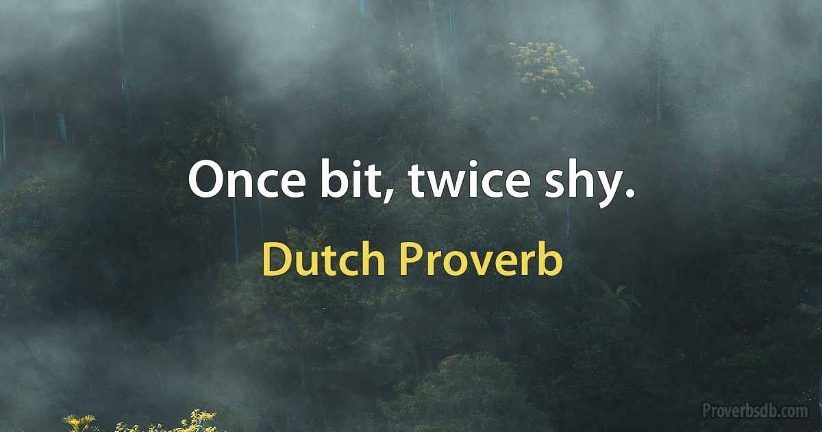 Once bit, twice shy. (Dutch Proverb)