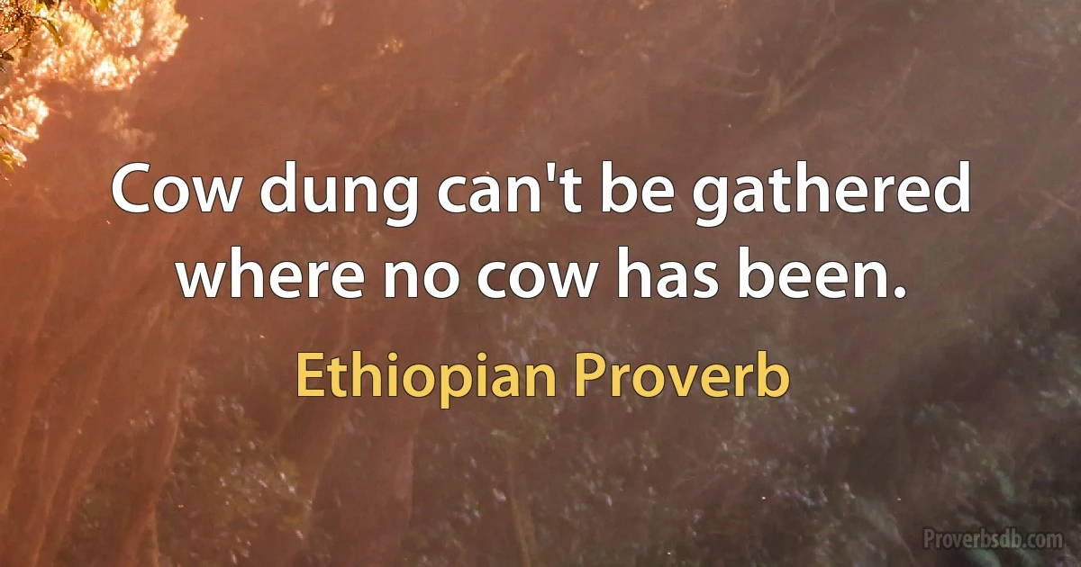 Cow dung can't be gathered where no cow has been. (Ethiopian Proverb)