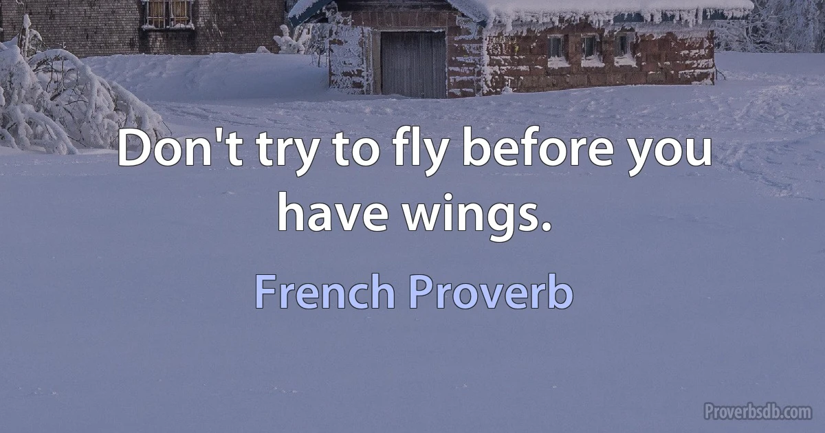 Don't try to fly before you have wings. (French Proverb)