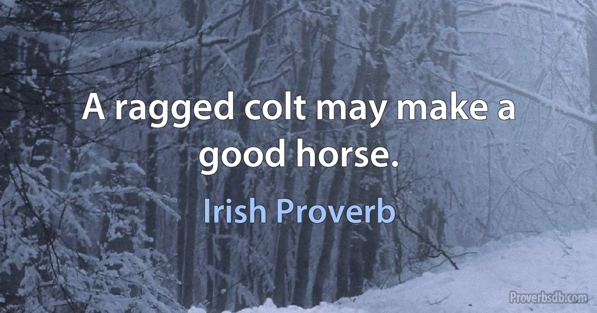 A ragged colt may make a good horse. (Irish Proverb)