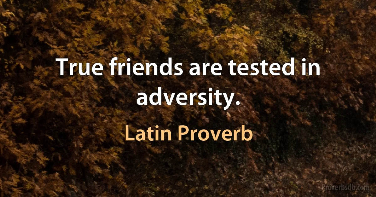 True friends are tested in adversity. (Latin Proverb)