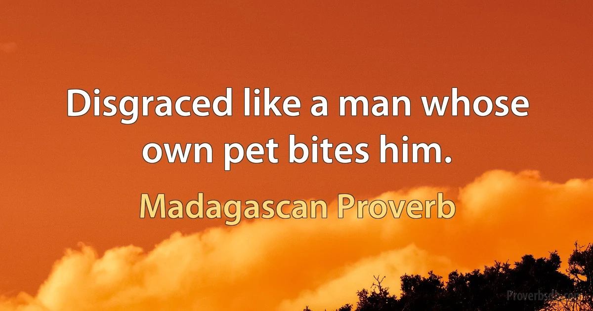 Disgraced like a man whose own pet bites him. (Madagascan Proverb)