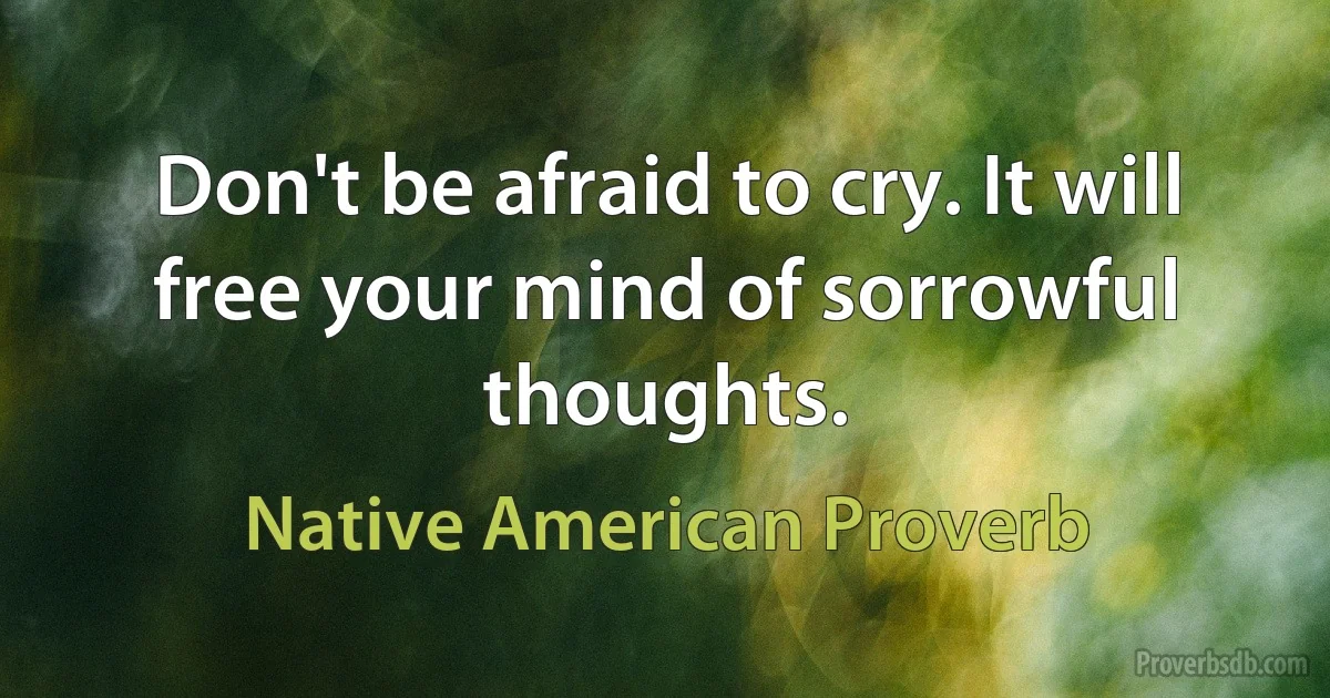 Don't be afraid to cry. It will free your mind of sorrowful thoughts. (Native American Proverb)