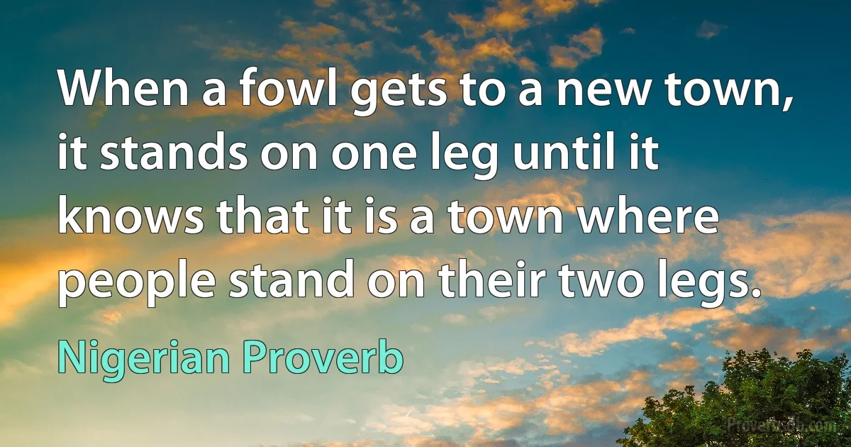 When a fowl gets to a new town, it stands on one leg until it knows that it is a town where people stand on their two legs. (Nigerian Proverb)