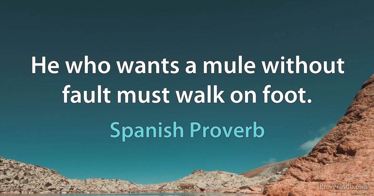 He who wants a mule without fault must walk on foot. (Spanish Proverb)