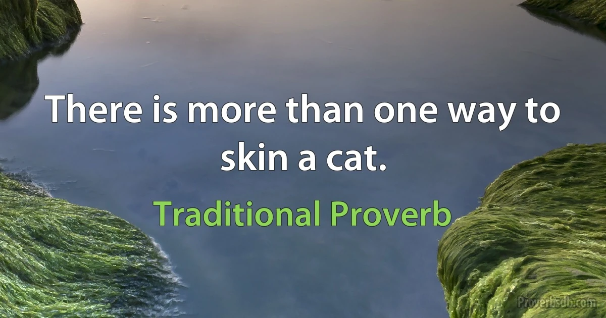 There is more than one way to skin a cat. (Traditional Proverb)