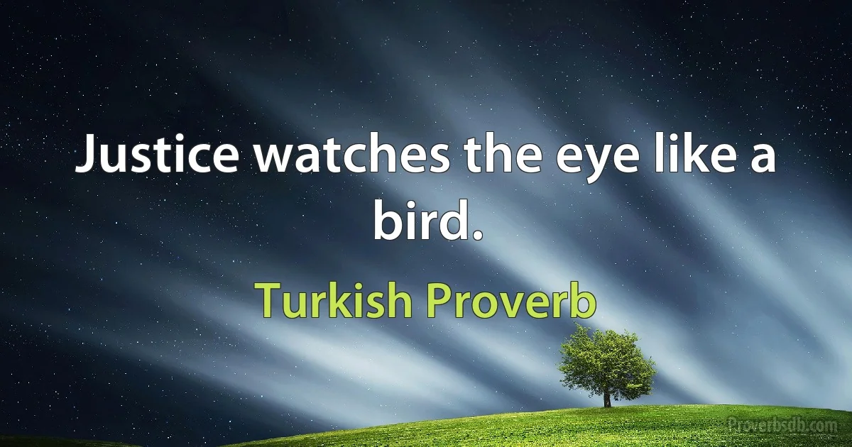 Justice watches the eye like a bird. (Turkish Proverb)