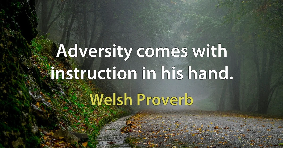 Adversity comes with instruction in his hand. (Welsh Proverb)