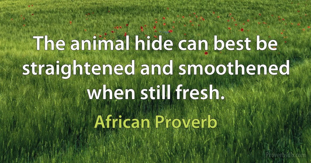 The animal hide can best be straightened and smoothened when still fresh. (African Proverb)