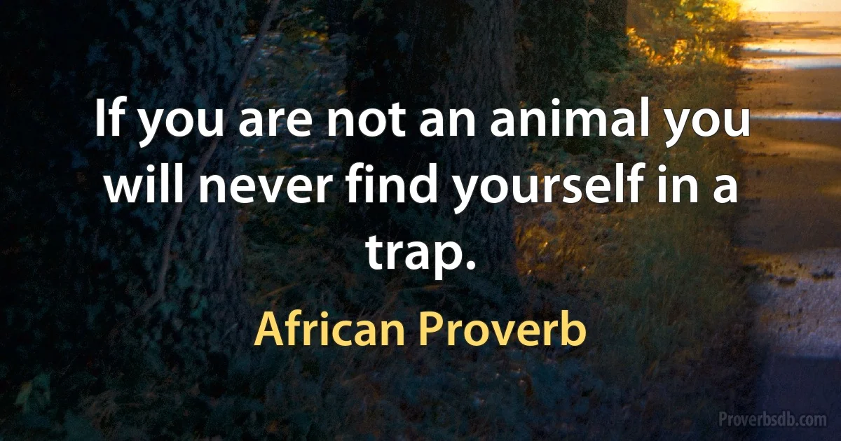 If you are not an animal you will never find yourself in a trap. (African Proverb)