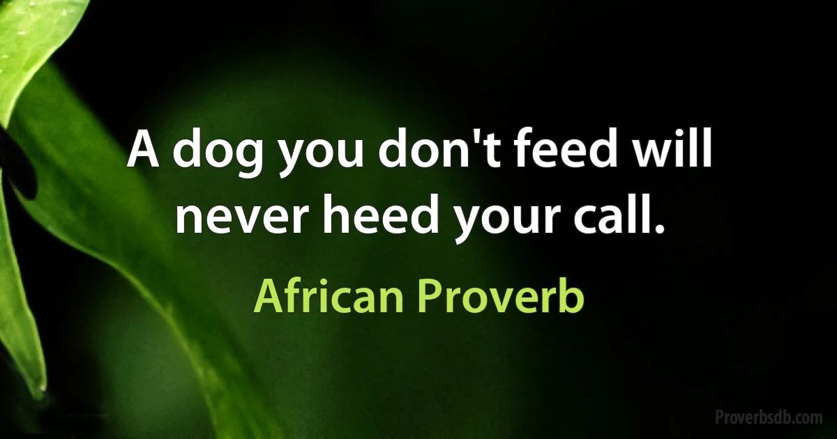 A dog you don't feed will never heed your call. (African Proverb)