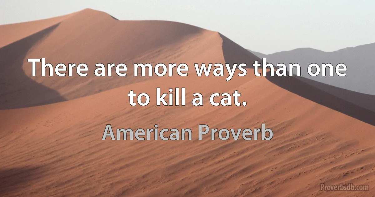 There are more ways than one to kill a cat. (American Proverb)