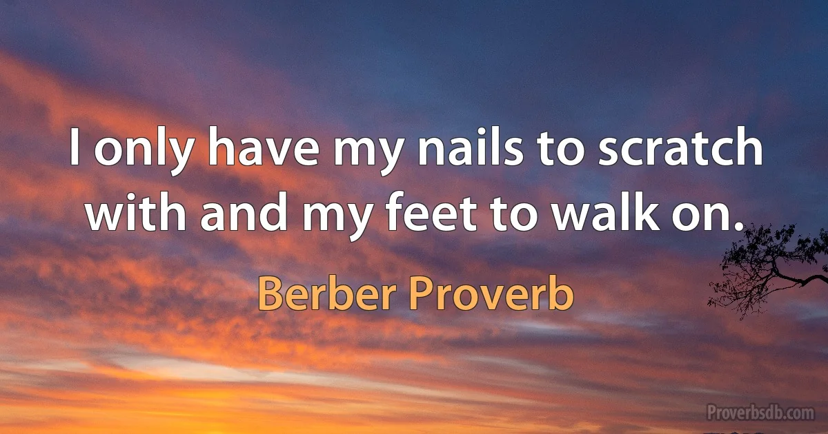 I only have my nails to scratch with and my feet to walk on. (Berber Proverb)