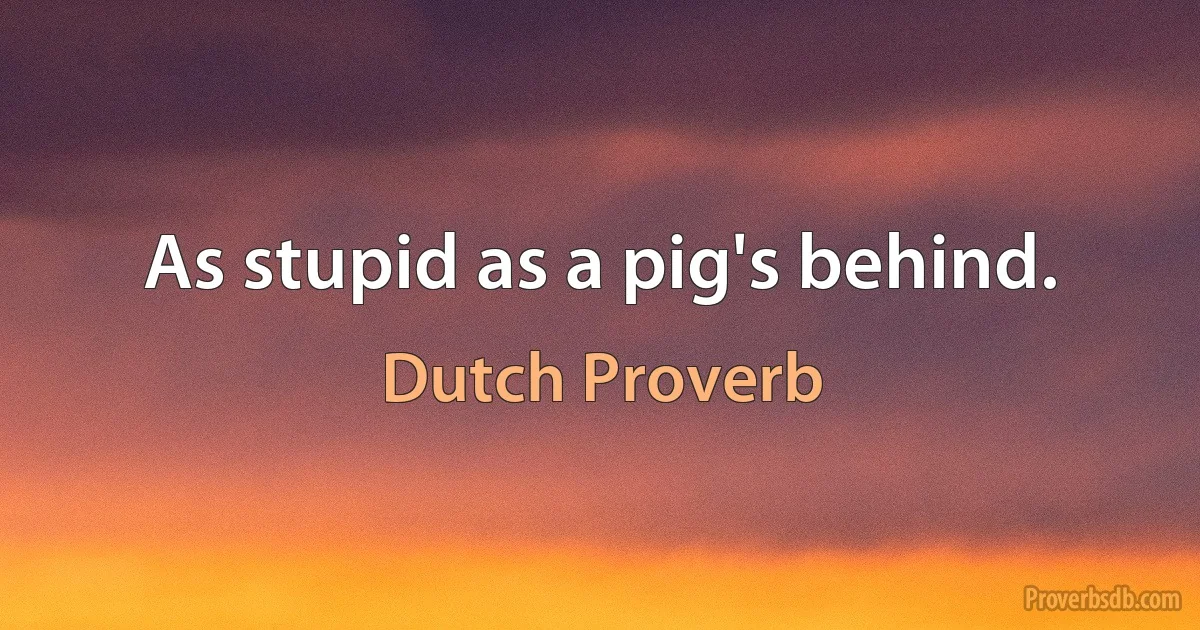 As stupid as a pig's behind. (Dutch Proverb)