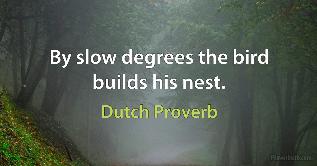 By slow degrees the bird builds his nest. (Dutch Proverb)