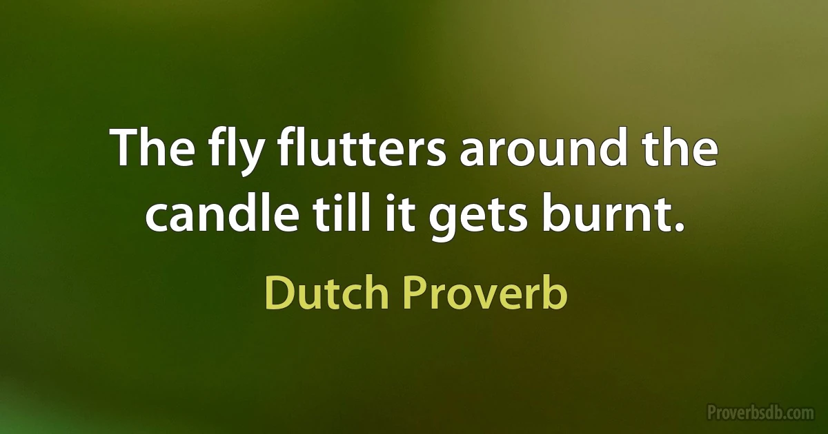 The fly flutters around the candle till it gets burnt. (Dutch Proverb)