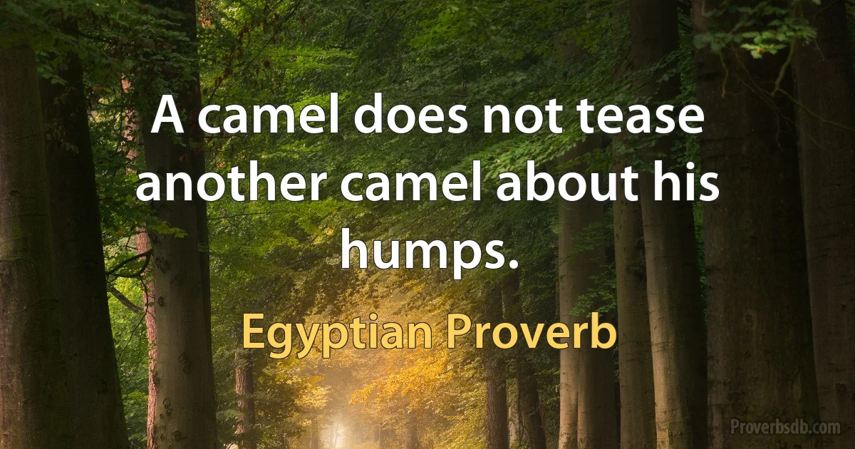 A camel does not tease another camel about his humps. (Egyptian Proverb)