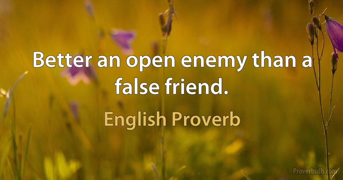 Better an open enemy than a false friend. (English Proverb)