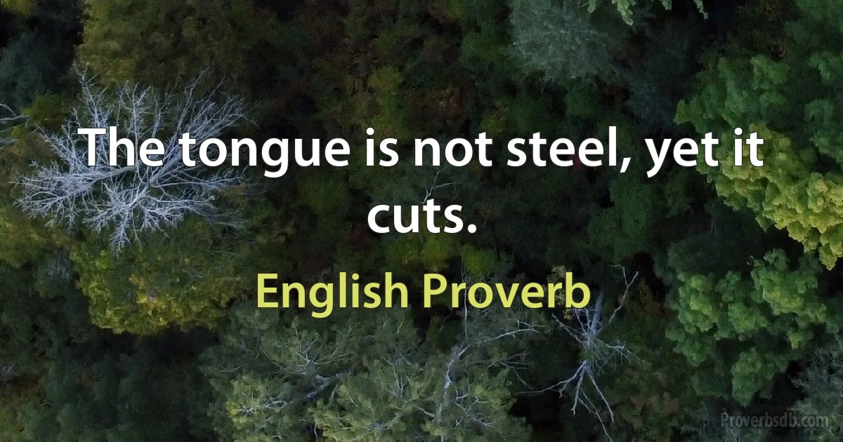 The tongue is not steel, yet it cuts. (English Proverb)