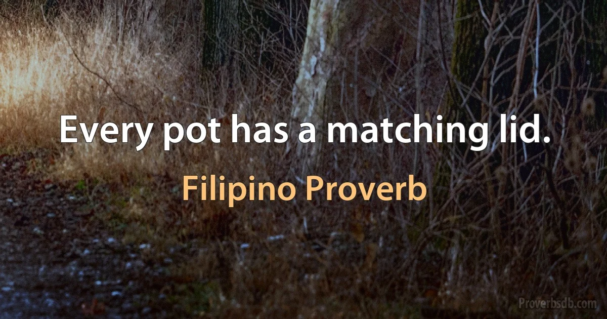 Every pot has a matching lid. (Filipino Proverb)