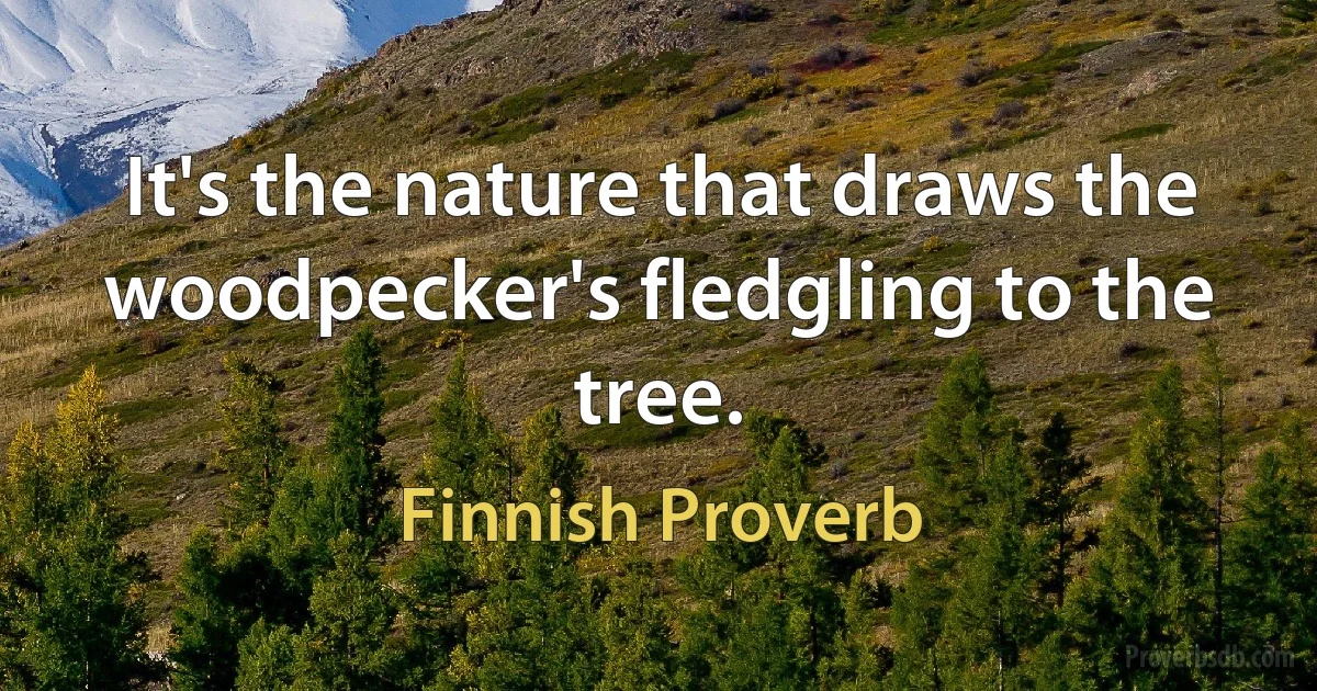 It's the nature that draws the woodpecker's fledgling to the tree. (Finnish Proverb)