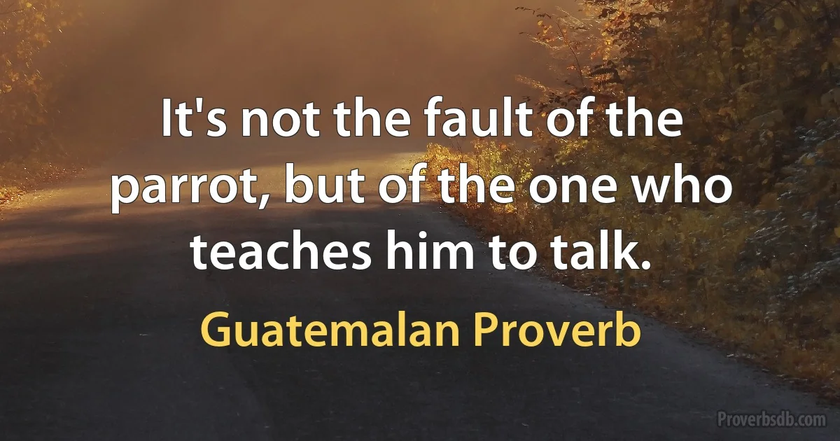 It's not the fault of the parrot, but of the one who teaches him to talk. (Guatemalan Proverb)