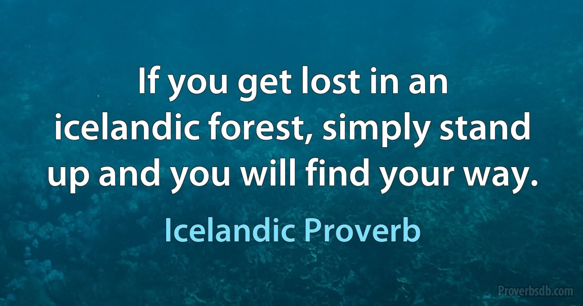 If you get lost in an icelandic forest, simply stand up and you will find your way. (Icelandic Proverb)