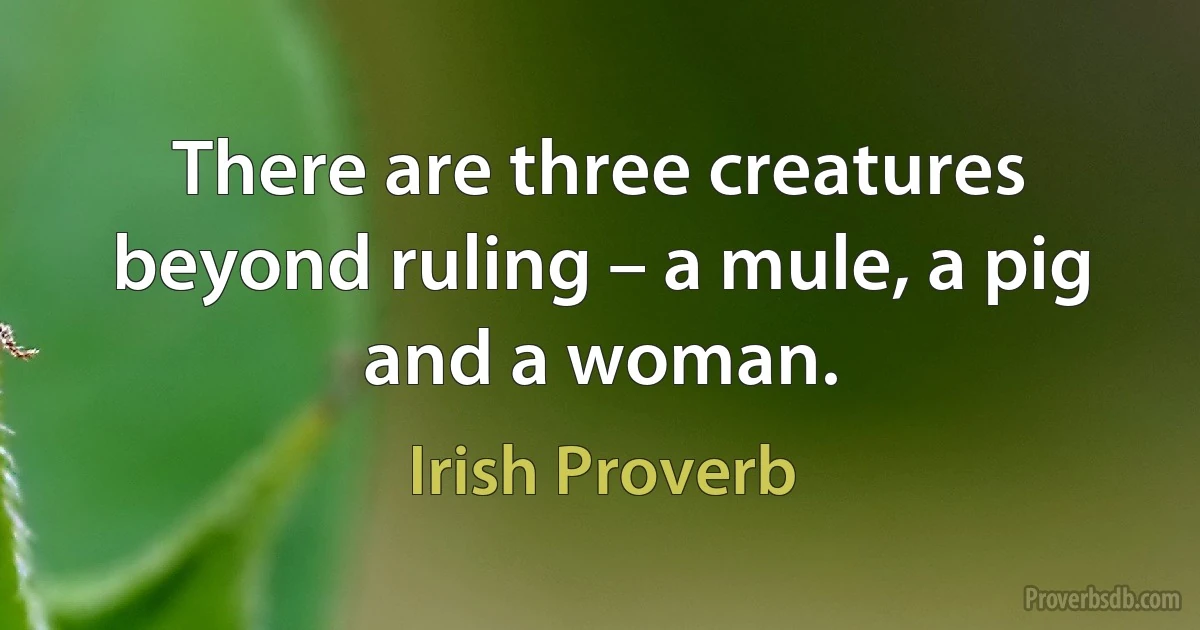 There are three creatures beyond ruling – a mule, a pig and a woman. (Irish Proverb)