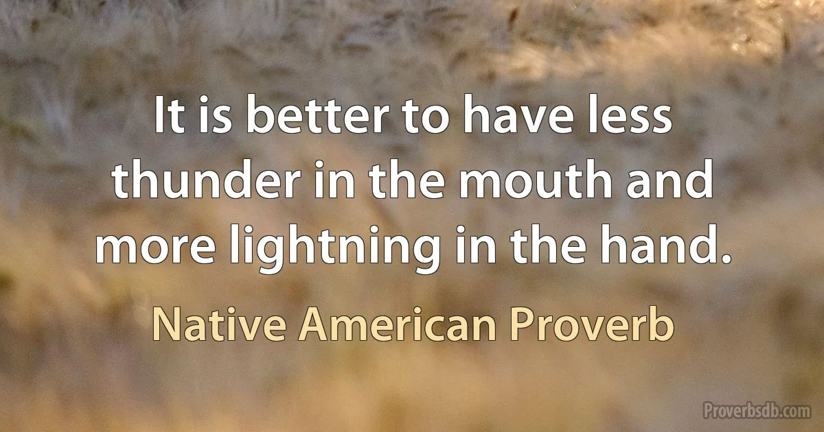 It is better to have less thunder in the mouth and more lightning in the hand. (Native American Proverb)