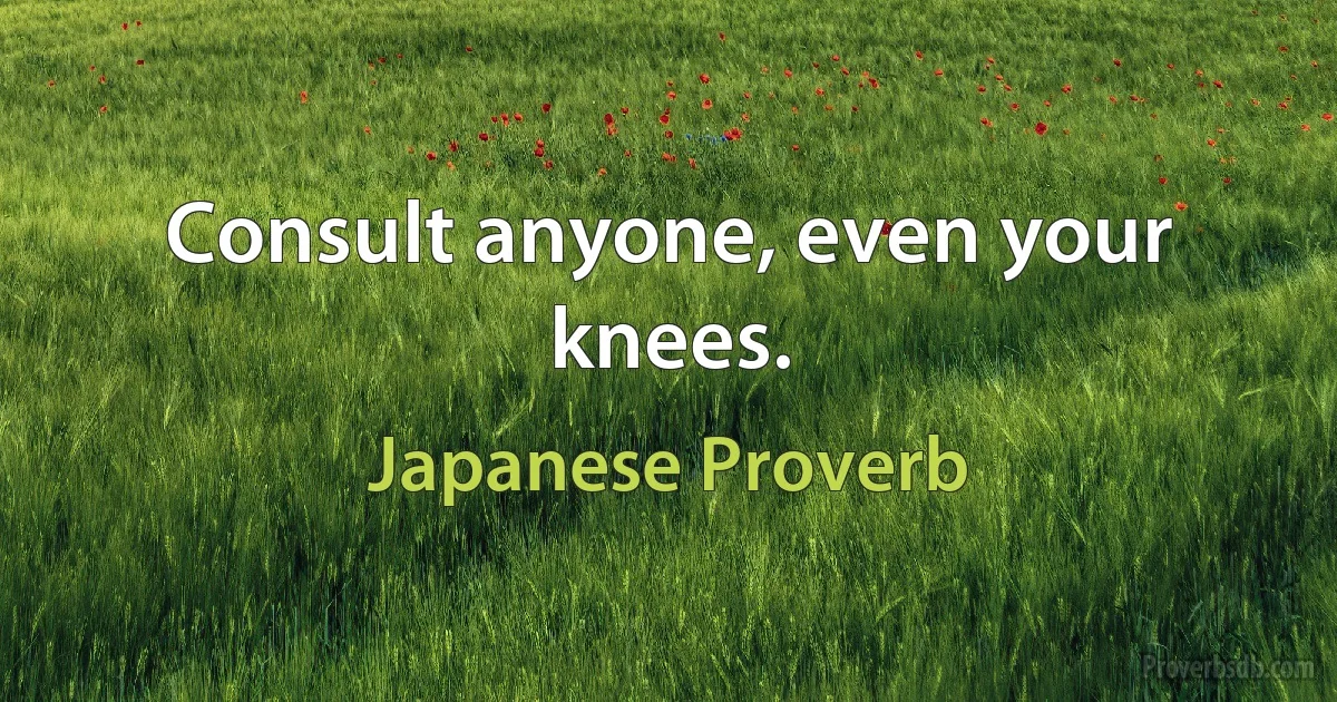 Consult anyone, even your knees. (Japanese Proverb)