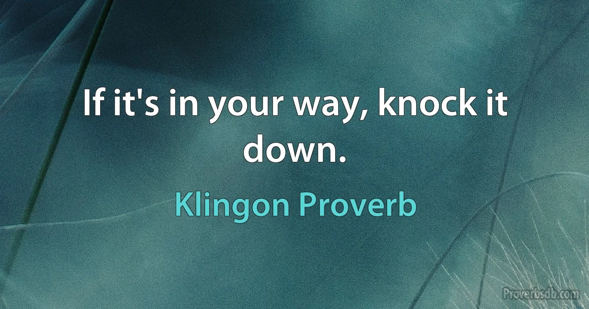 If it's in your way, knock it down. (Klingon Proverb)