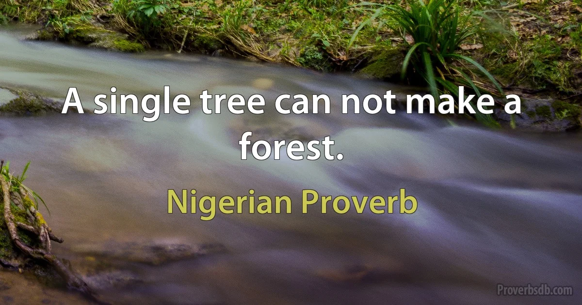 A single tree can not make a forest. (Nigerian Proverb)