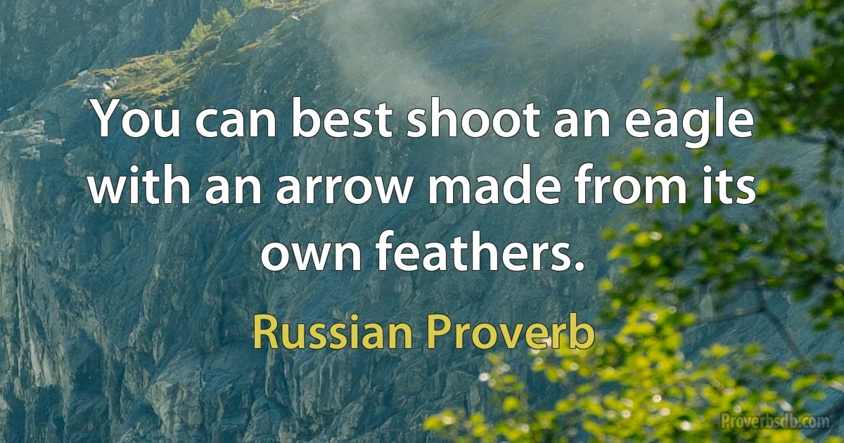 You can best shoot an eagle with an arrow made from its own feathers. (Russian Proverb)