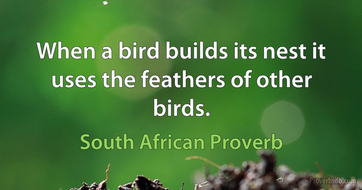 When a bird builds its nest it uses the feathers of other birds. (South African Proverb)