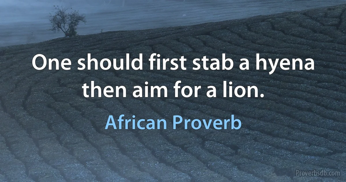 One should first stab a hyena then aim for a lion. (African Proverb)