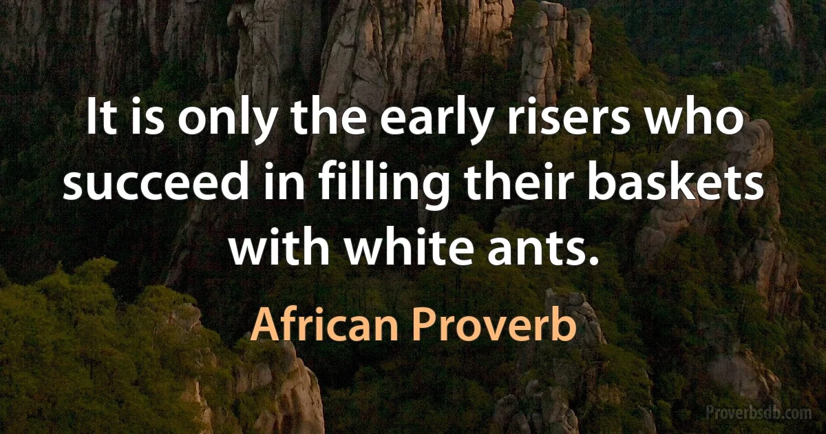 It is only the early risers who succeed in filling their baskets with white ants. (African Proverb)