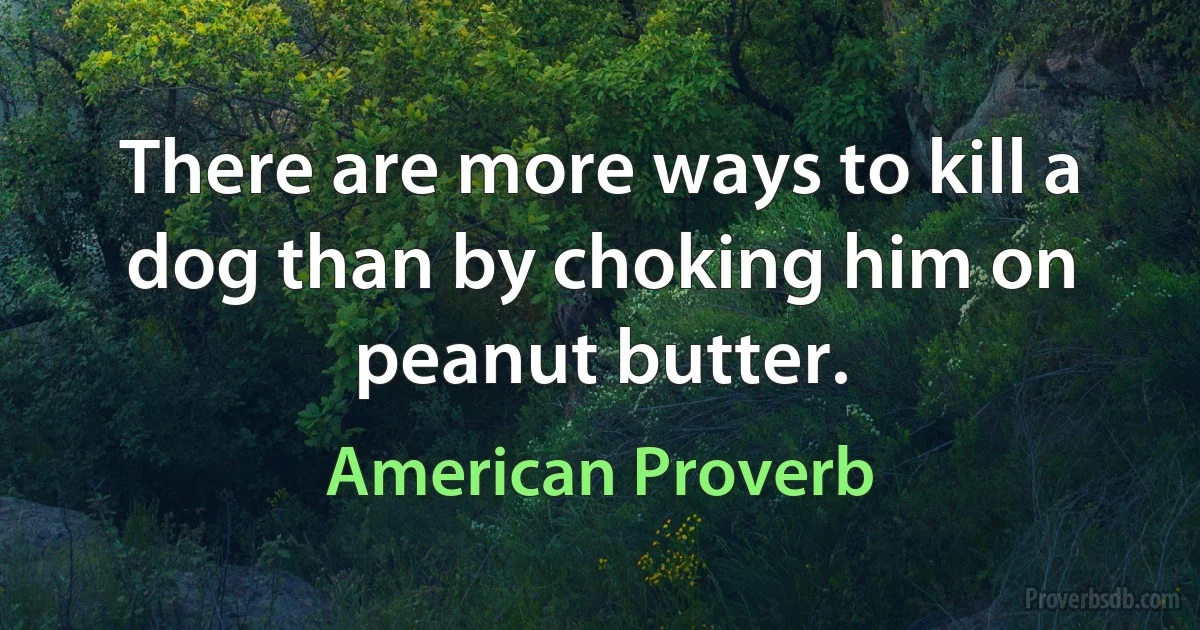 There are more ways to kill a dog than by choking him on peanut butter. (American Proverb)