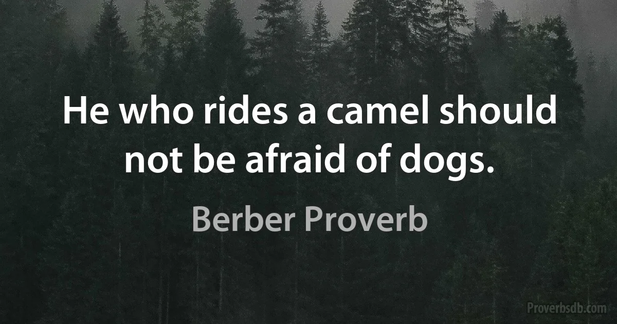 He who rides a camel should not be afraid of dogs. (Berber Proverb)