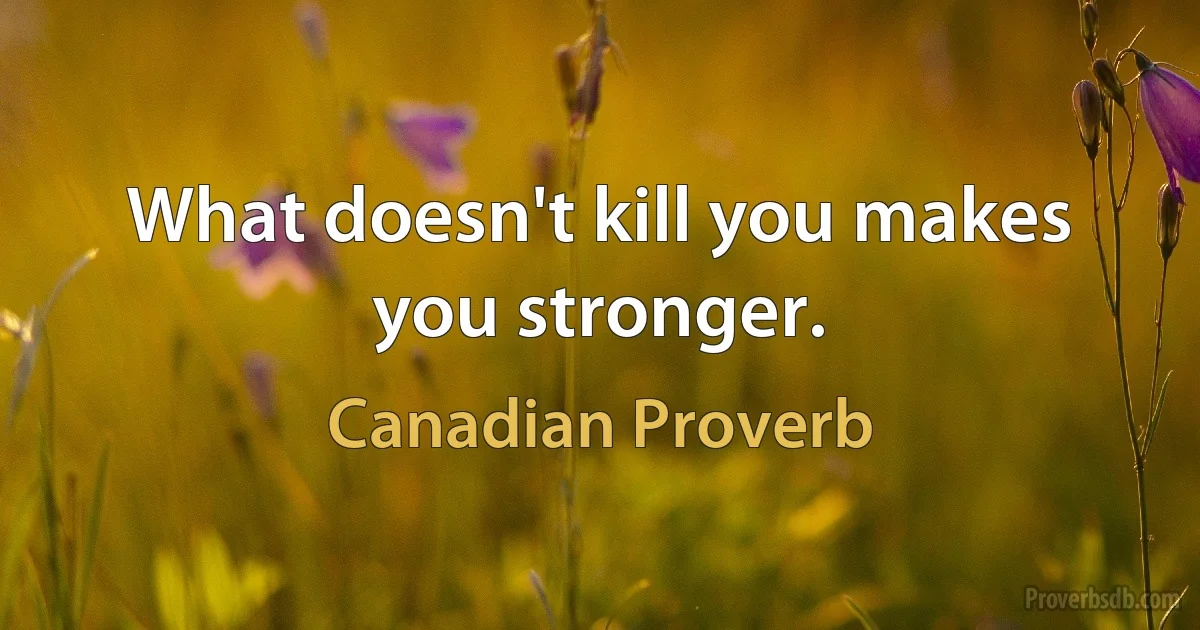 What doesn't kill you makes you stronger. (Canadian Proverb)