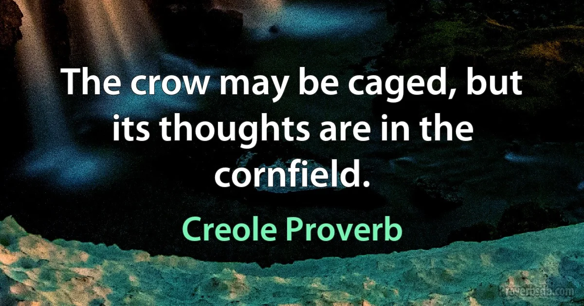 The crow may be caged, but its thoughts are in the cornfield. (Creole Proverb)