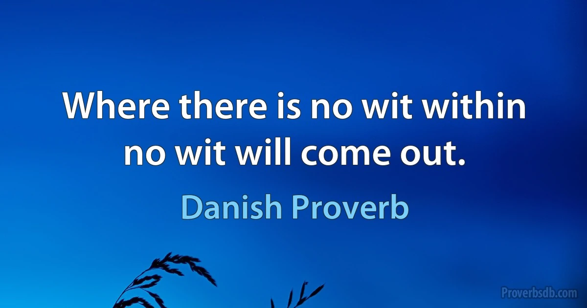 Where there is no wit within no wit will come out. (Danish Proverb)