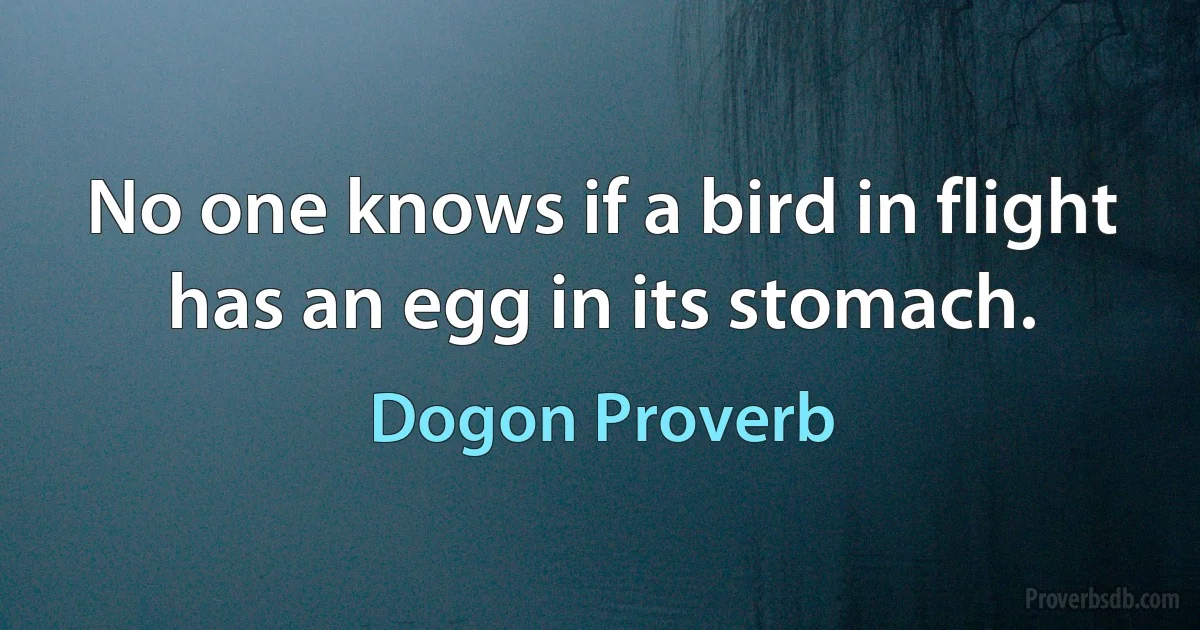 No one knows if a bird in flight has an egg in its stomach. (Dogon Proverb)