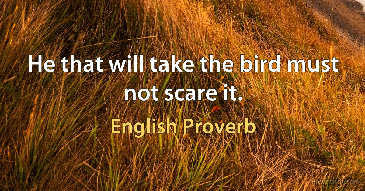 He that will take the bird must not scare it. (English Proverb)