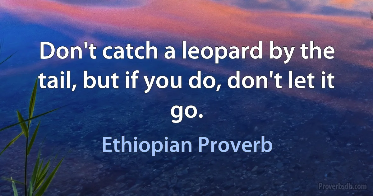 Don't catch a leopard by the tail, but if you do, don't let it go. (Ethiopian Proverb)