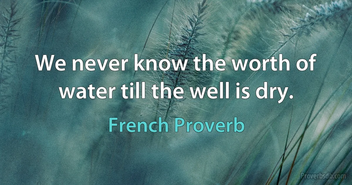 We never know the worth of water till the well is dry. (French Proverb)