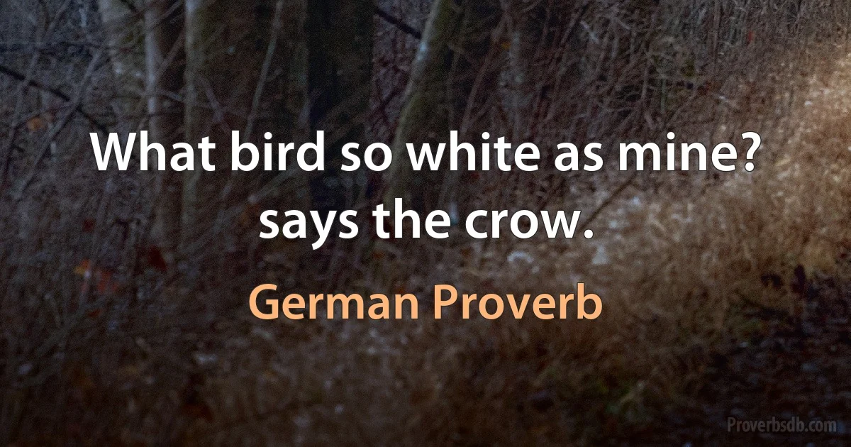 What bird so white as mine? says the crow. (German Proverb)