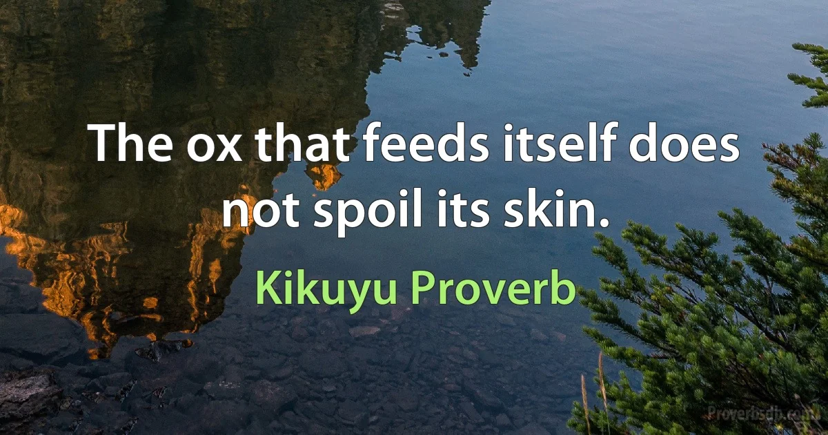 The ox that feeds itself does not spoil its skin. (Kikuyu Proverb)