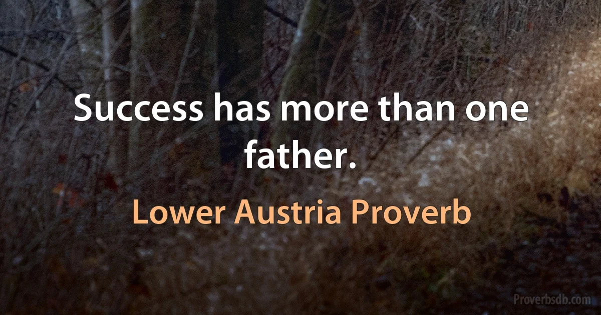 Success has more than one father. (Lower Austria Proverb)